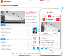 政府网站建设