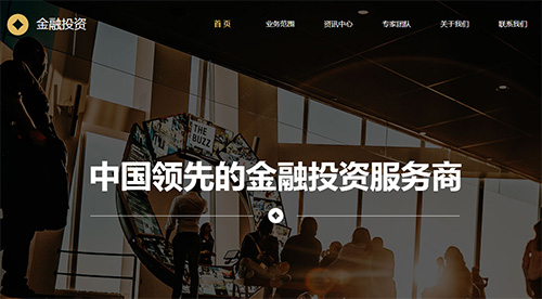 金融理财建站案例