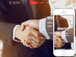 代办服务公司网站建设