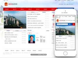 政府网站建设