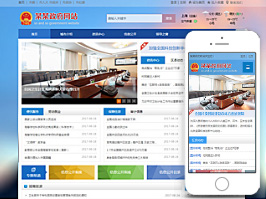 政府网站制作