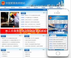 政府网站建设