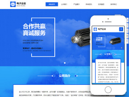 电子企业网站建设