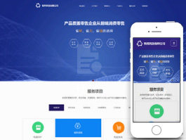 软件科技企业网站建设