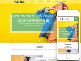 服装网站建设
