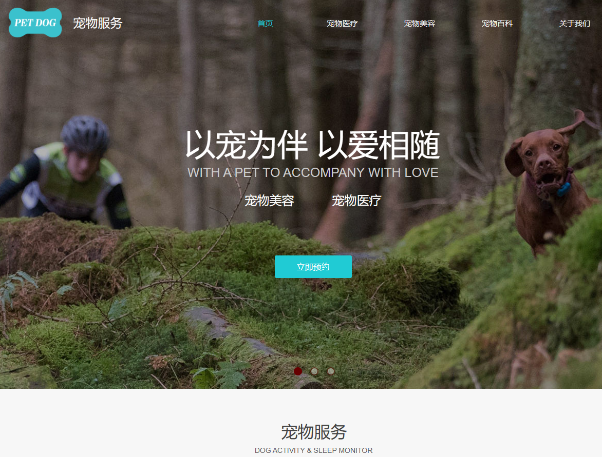 北京宠物医院撸猫吧网站制