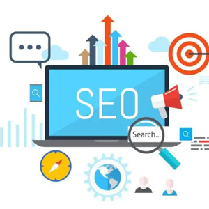 SEO�Ż�